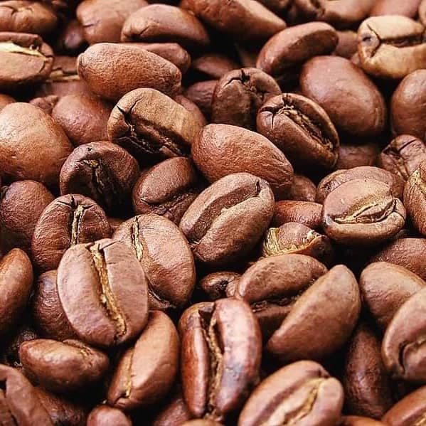 Differentiated coffee - Geisha Variety - Honey Process